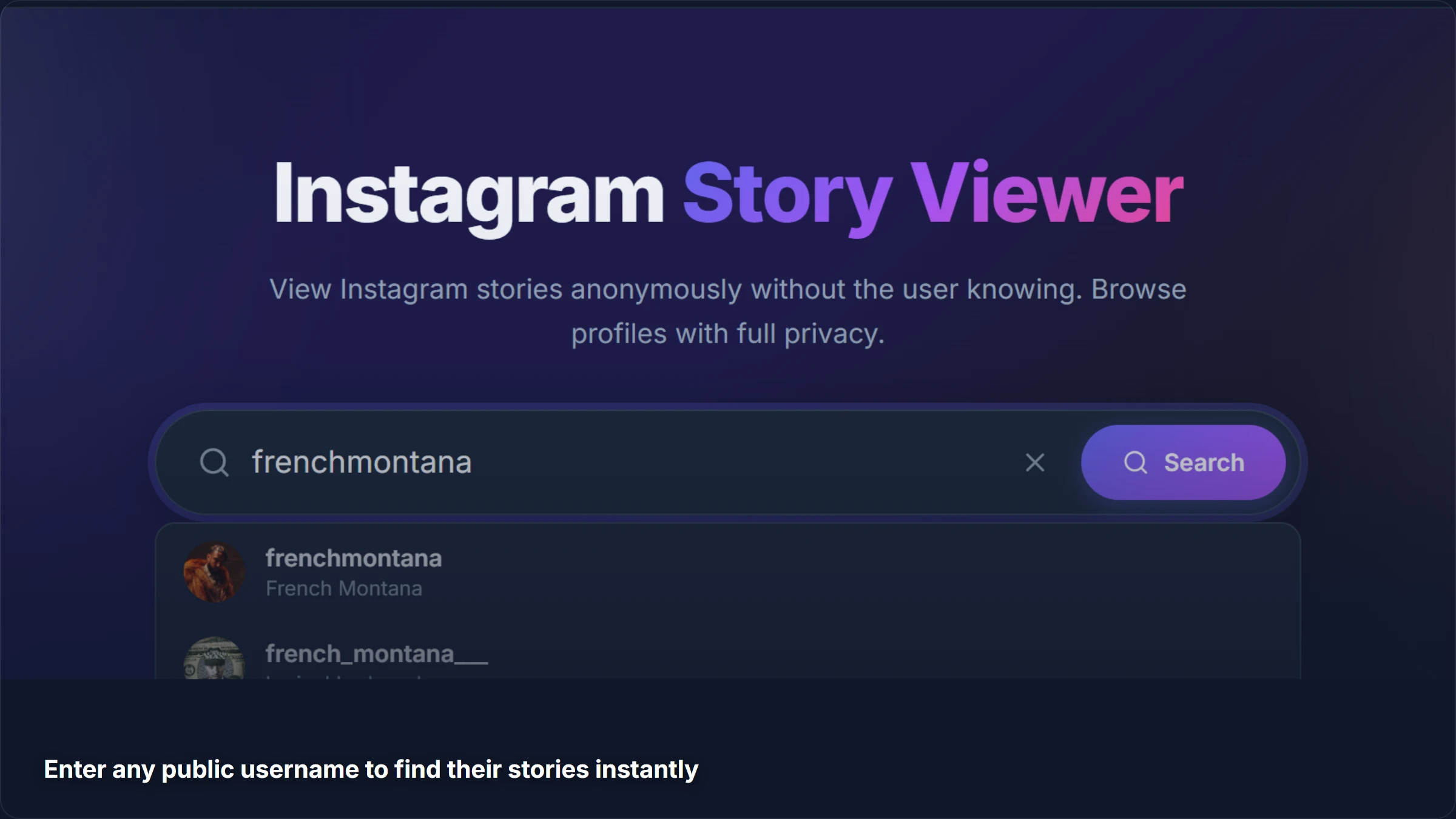 Search for any Instagram username to find their stories
